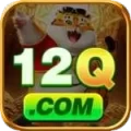 12q APK Premium v2.9.7